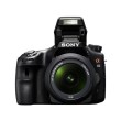 Câmera Digital DSLR (Profissional) Sony Alpha 24,3 MP Full HD Foto 3D SLT-A65