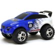 Carrinho de Controle Remoto New Bright Nitro Racing 1616