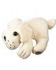 Foto WebCam Multilaser Dog J032W 1,3 mpx