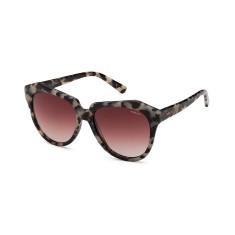 Óculos de Sol Feminino Retrô Colcci 5017