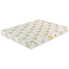 Colchão Solteiro Espuma Paropas D33 Solteiro Pasquale Plus 78 x 18 x 188 cm