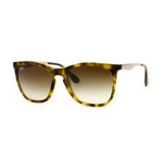 Óculos de Sol Unissex Retrô Ray Ban RB4238L