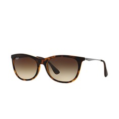 Óculos de Sol Feminino Retrô Ray Ban RB4220L